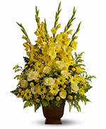 Teleflora's Sunny Memories Teleflora's Sunny Memories